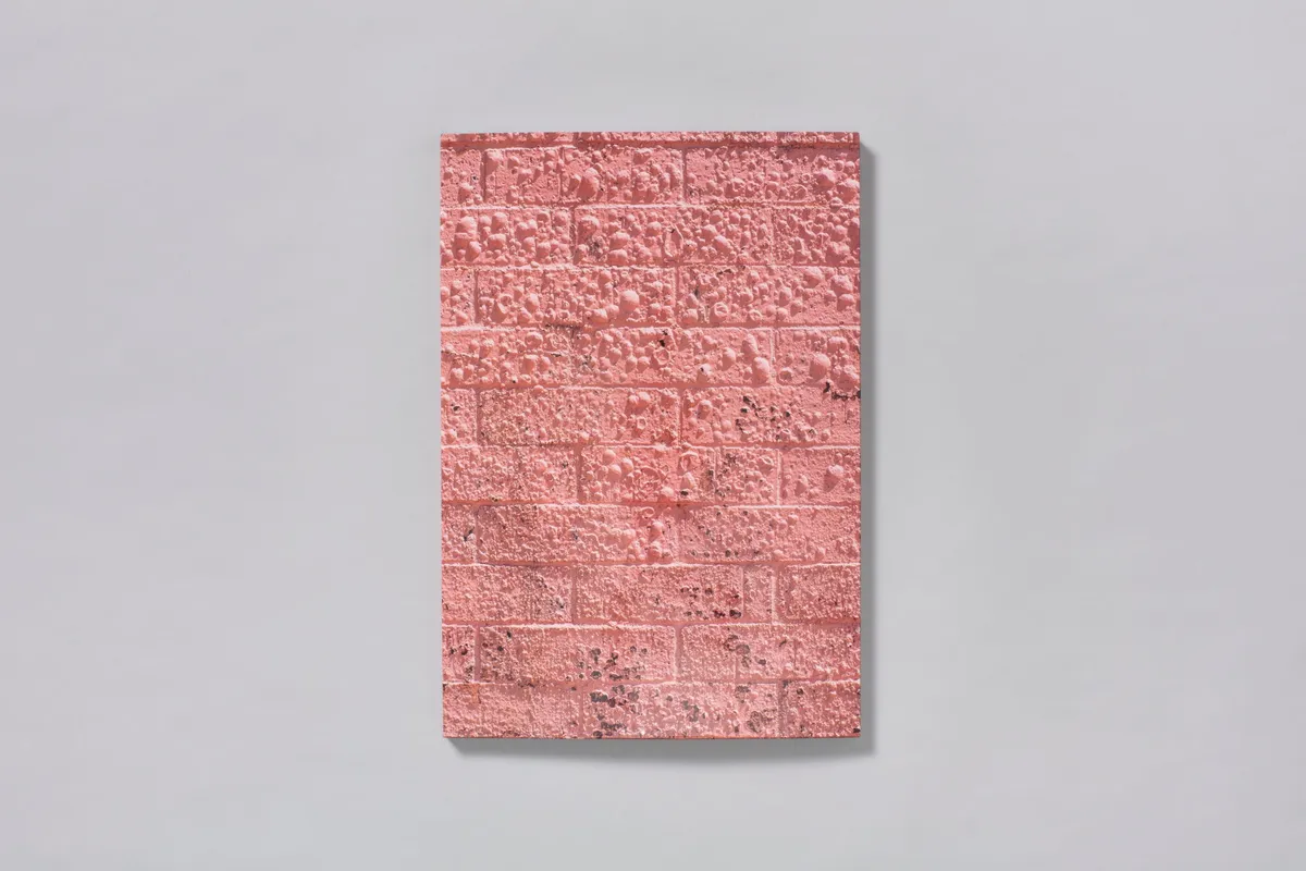 Californian Wildflowers