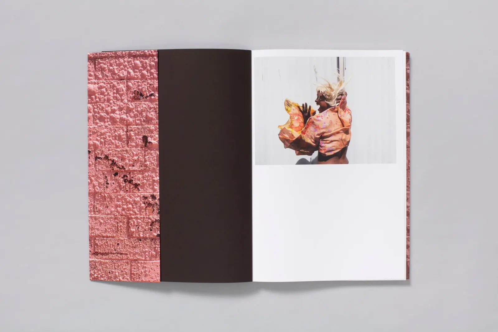 Californian Wildflowers image 3