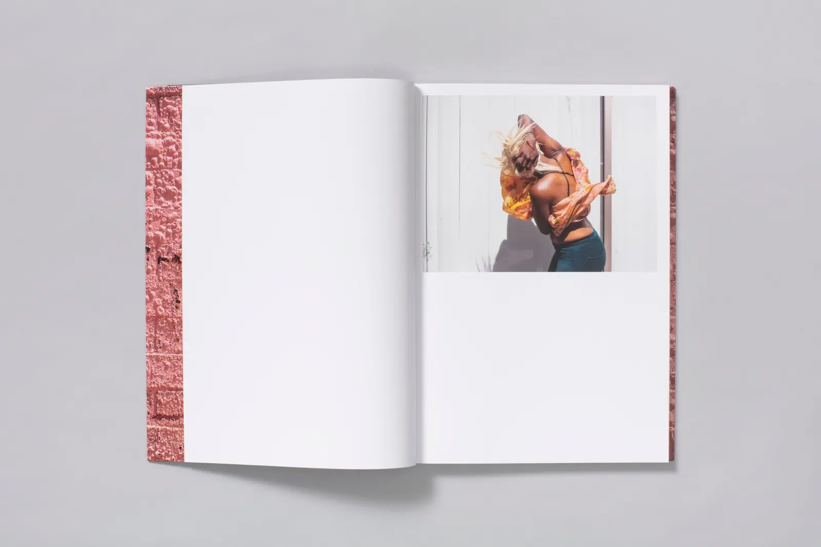 Californian Wildflowers image 4