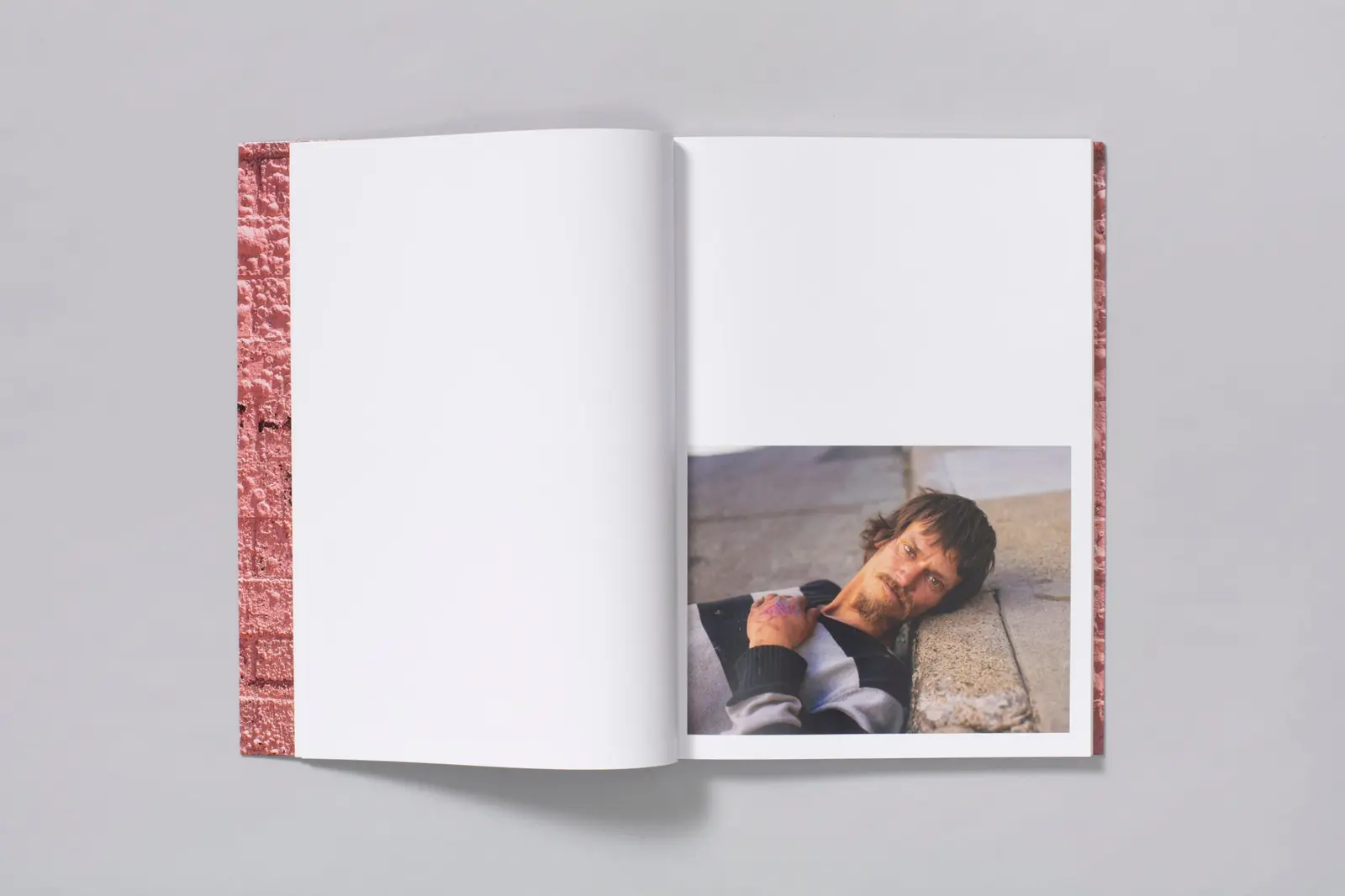 Californian Wildflowers image 6