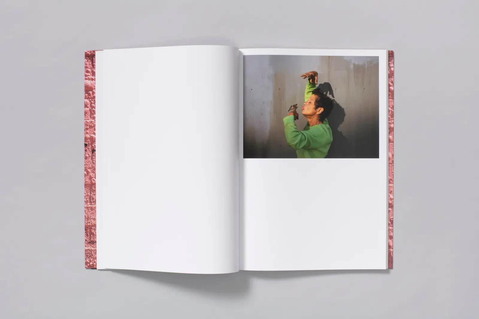 Californian Wildflowers image 7