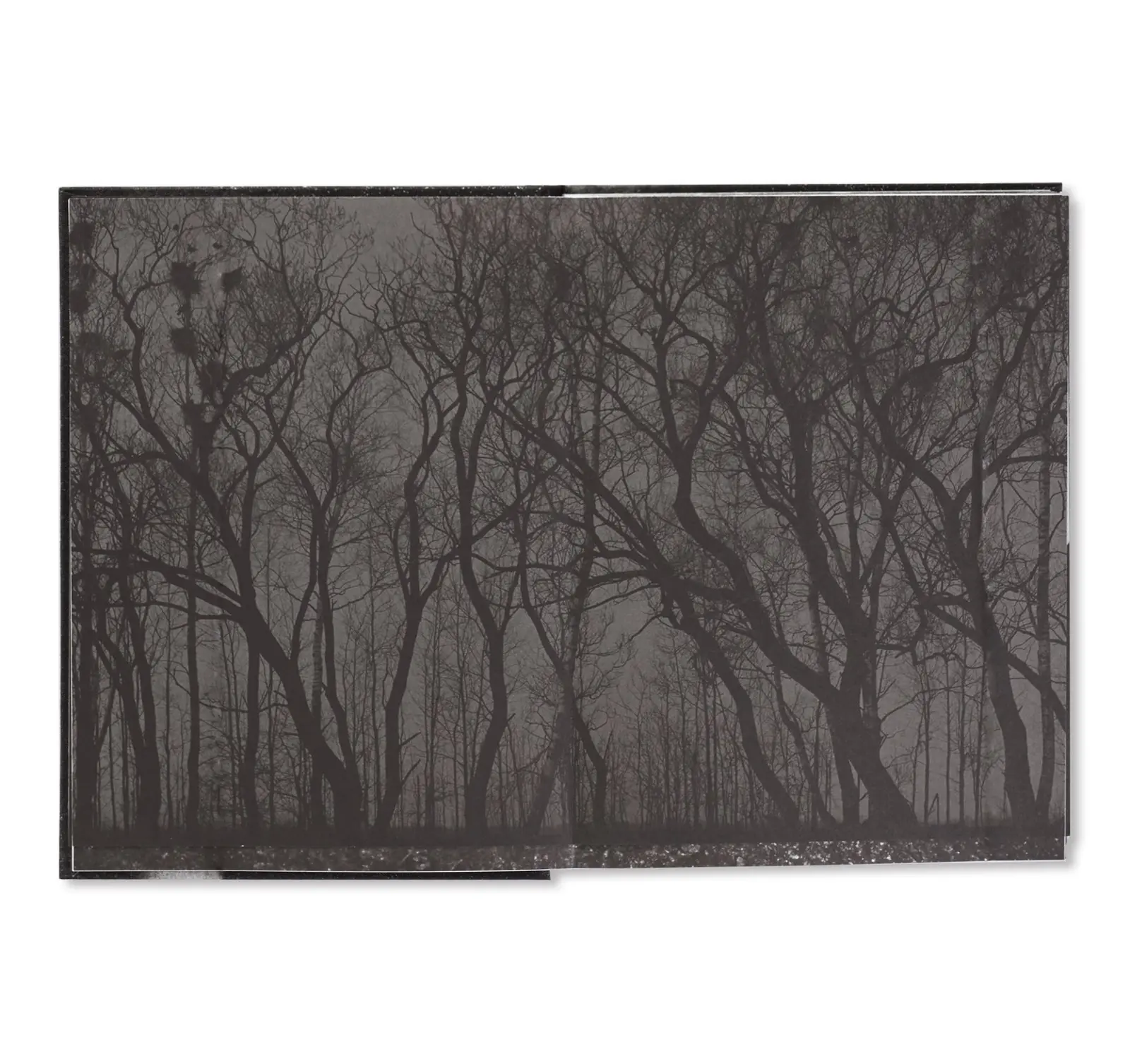 Behind the Glass image 4