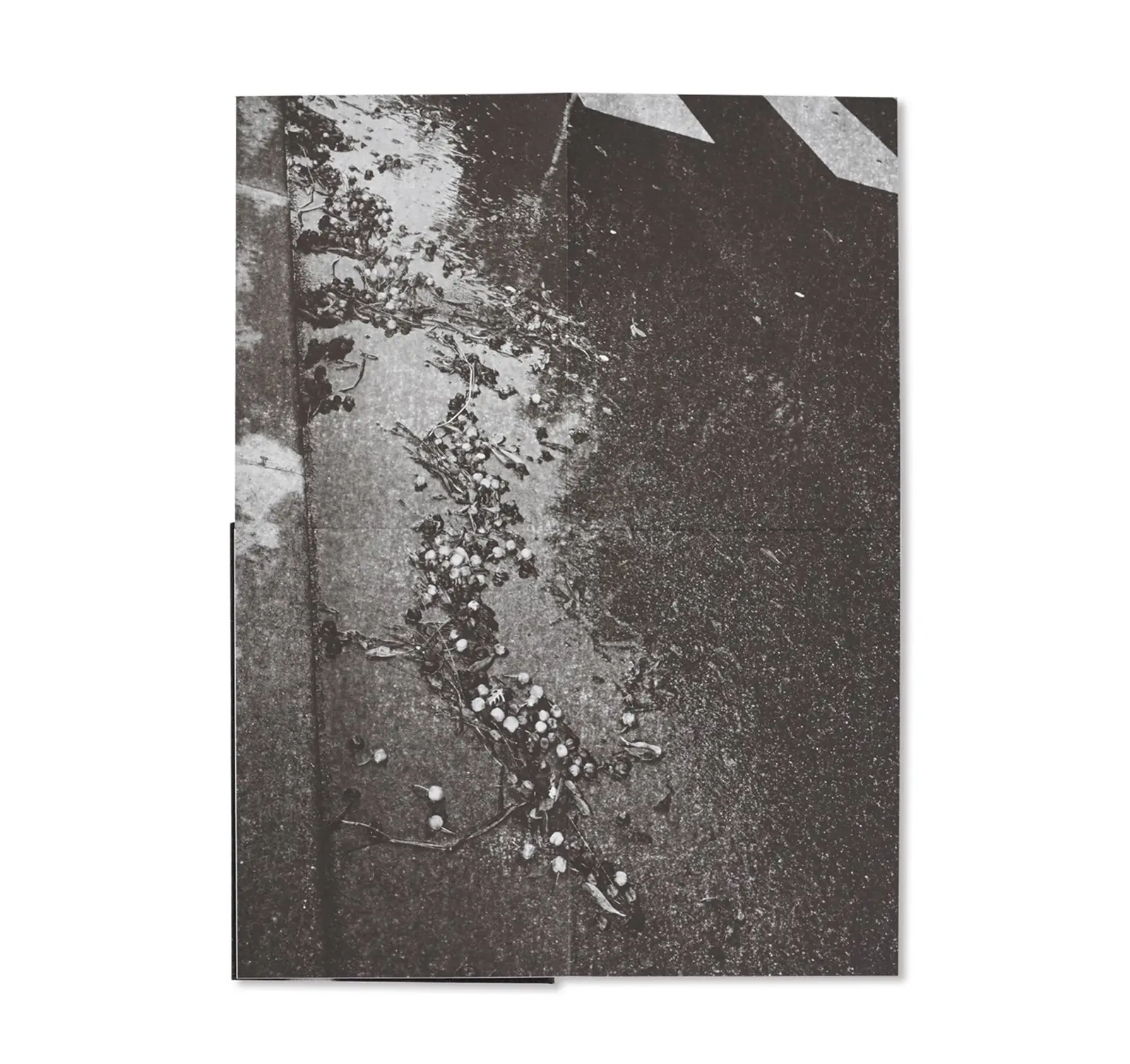 Behind the Glass image 5