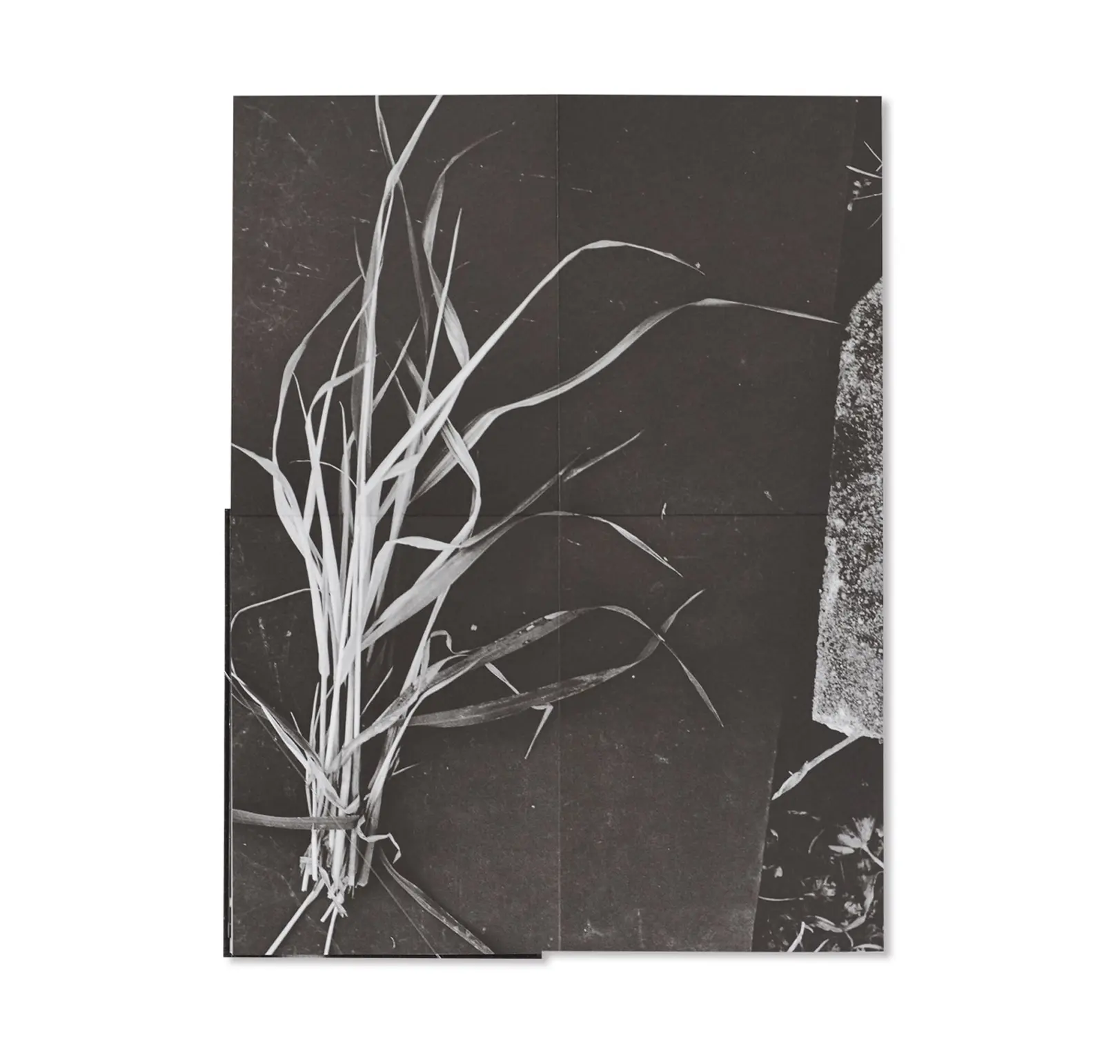 Behind the Glass image 11