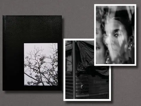 Migration Patterns image 2