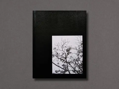 Migration Patterns image 3