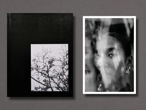 Migration Patterns image 4