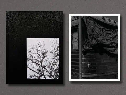 Migration Patterns image 5