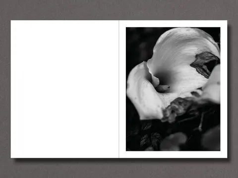 Migration Patterns image 7