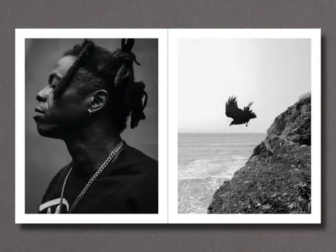 Migration Patterns image 8