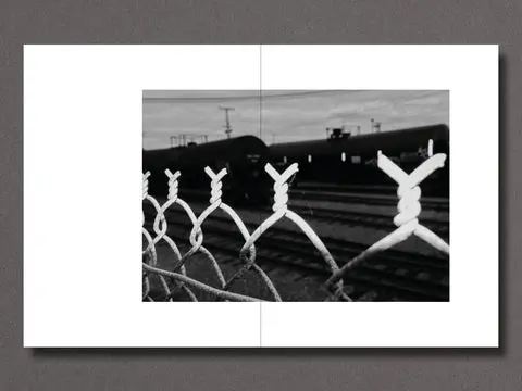 Migration Patterns image 9