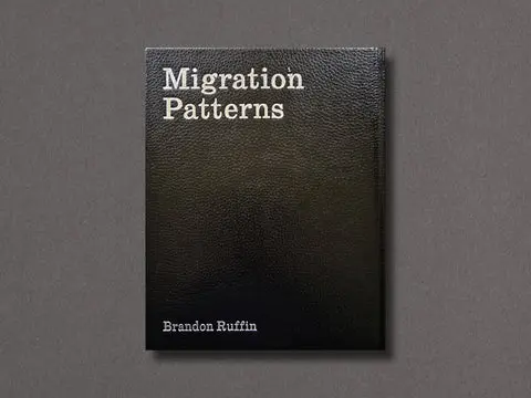 Migration Patterns image 11