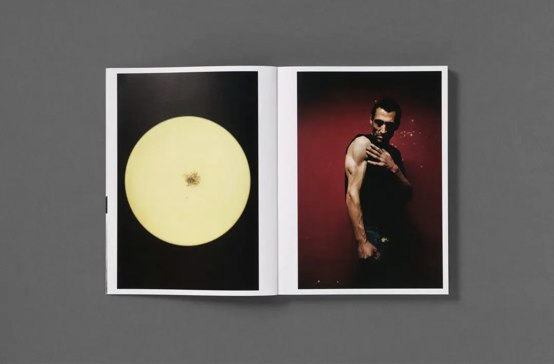 Rotting from Within image 5