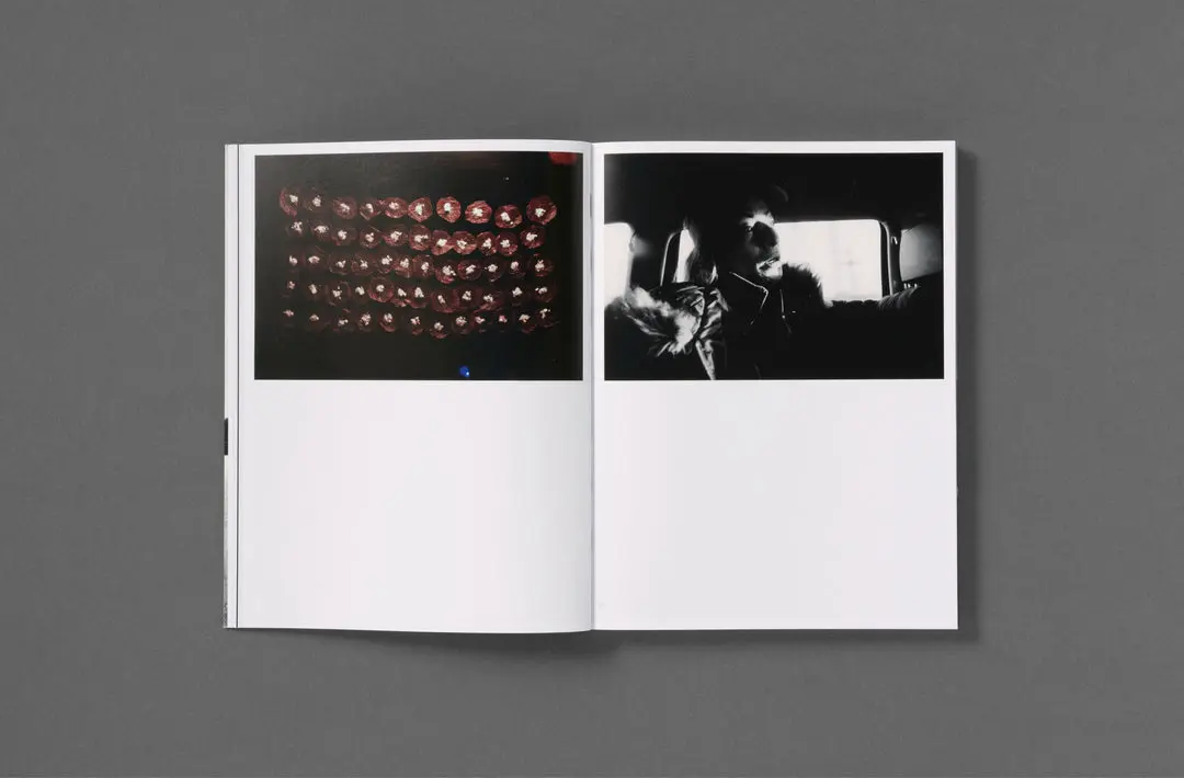 Rotting from Within image 6