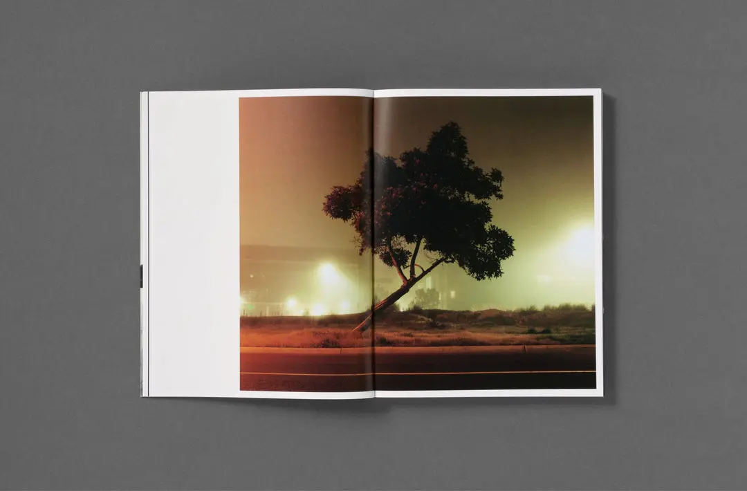 Rotting from Within image 7