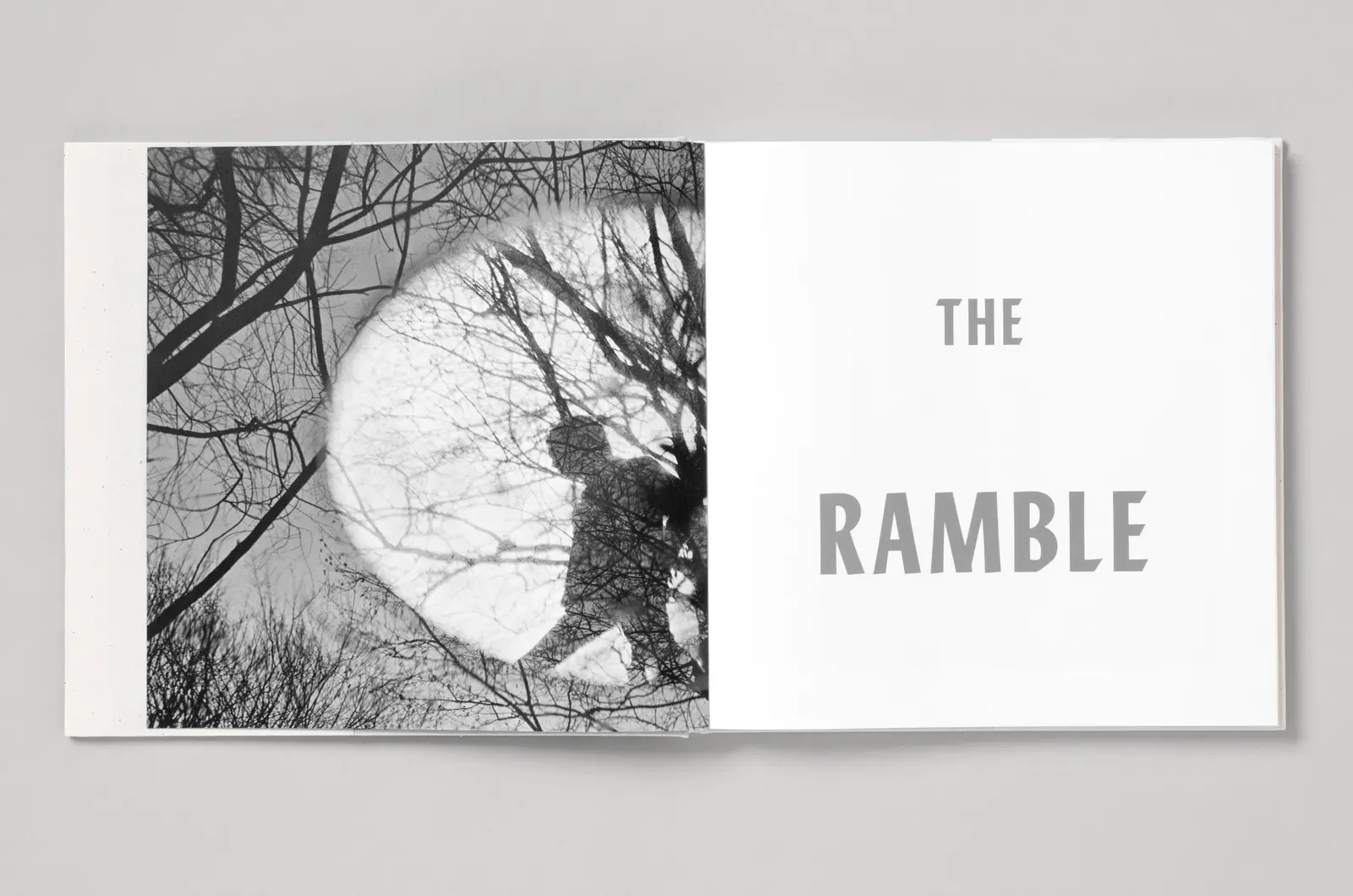 The Ramble, NYC 1969 image 3