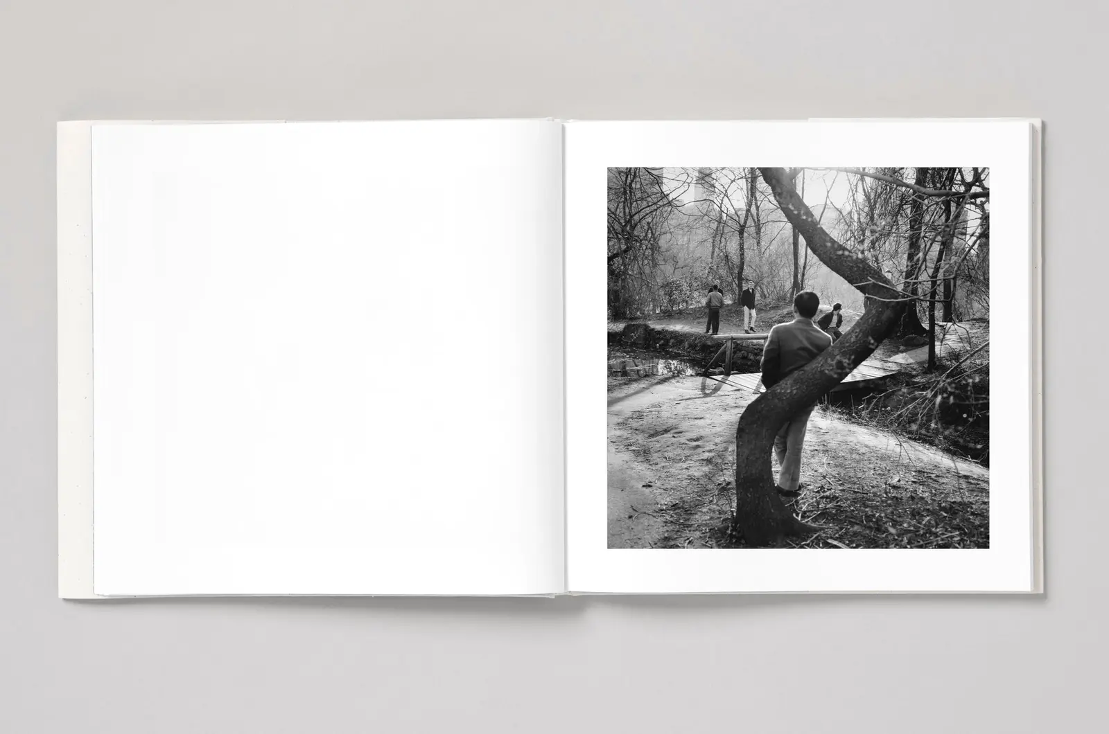 The Ramble, NYC 1969 image 5