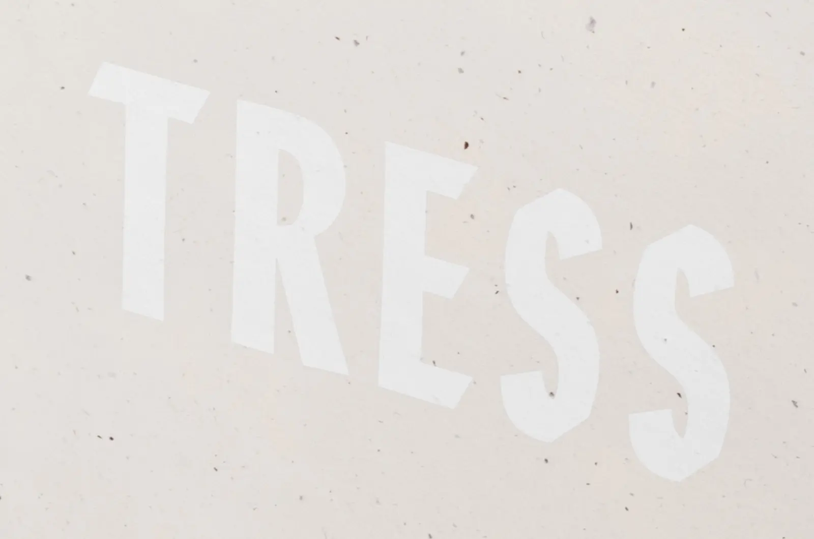 The Ramble, NYC 1969 image 6