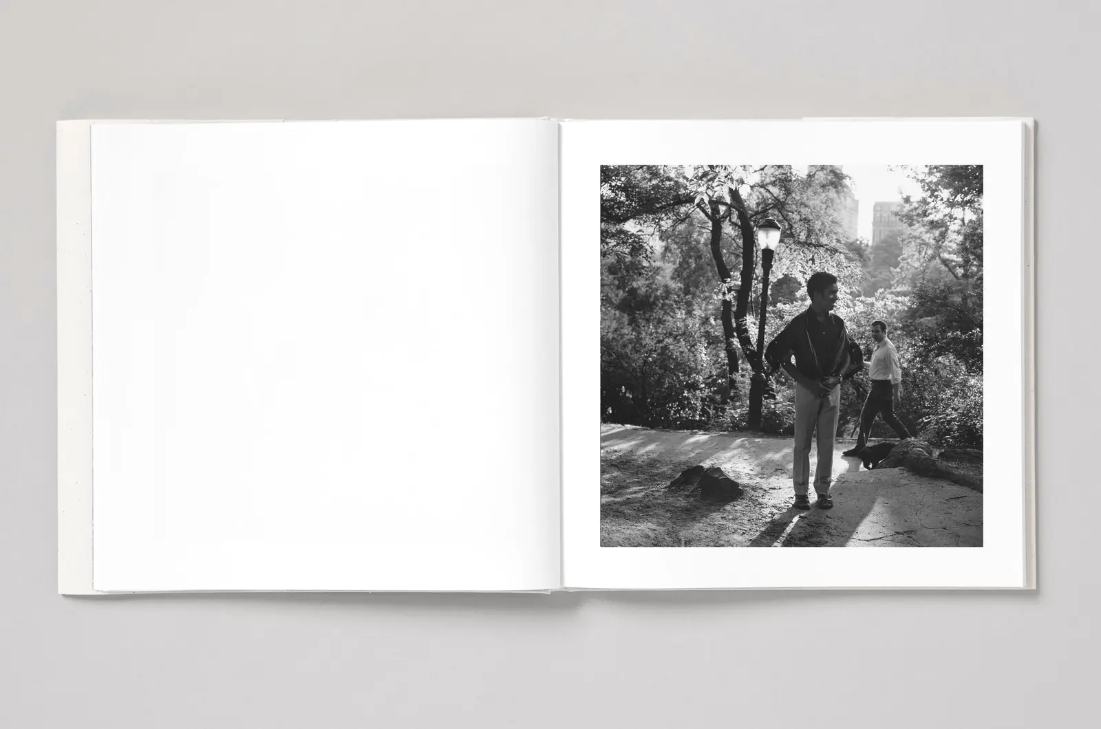 The Ramble, NYC 1969 image 7