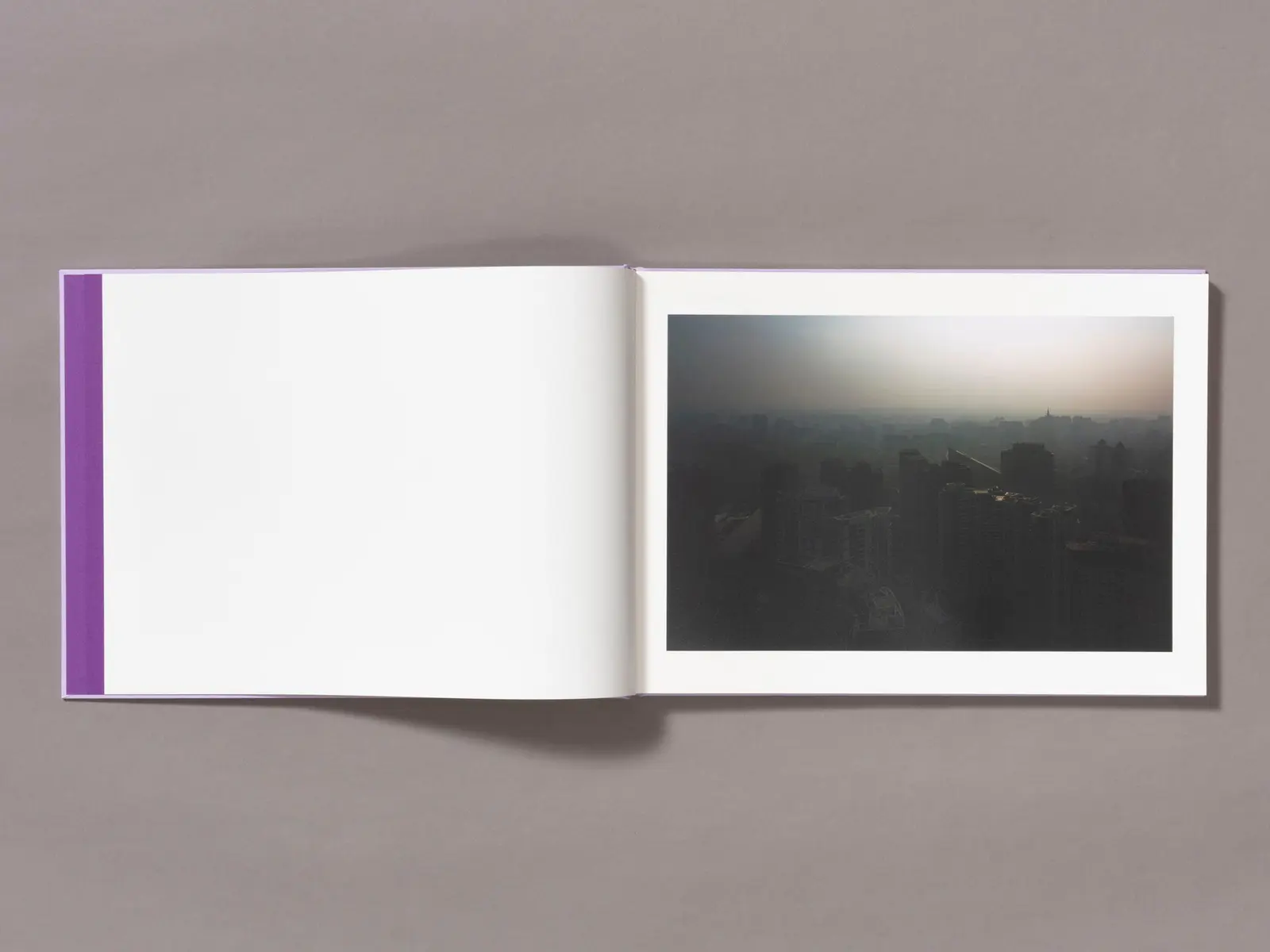 Mother's Land image 3