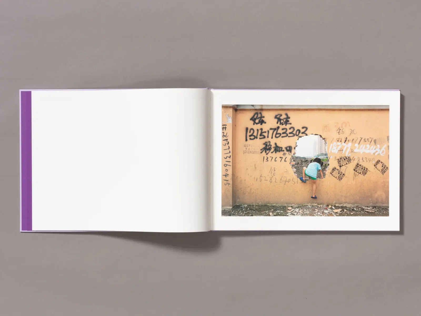 Mother's Land image 4