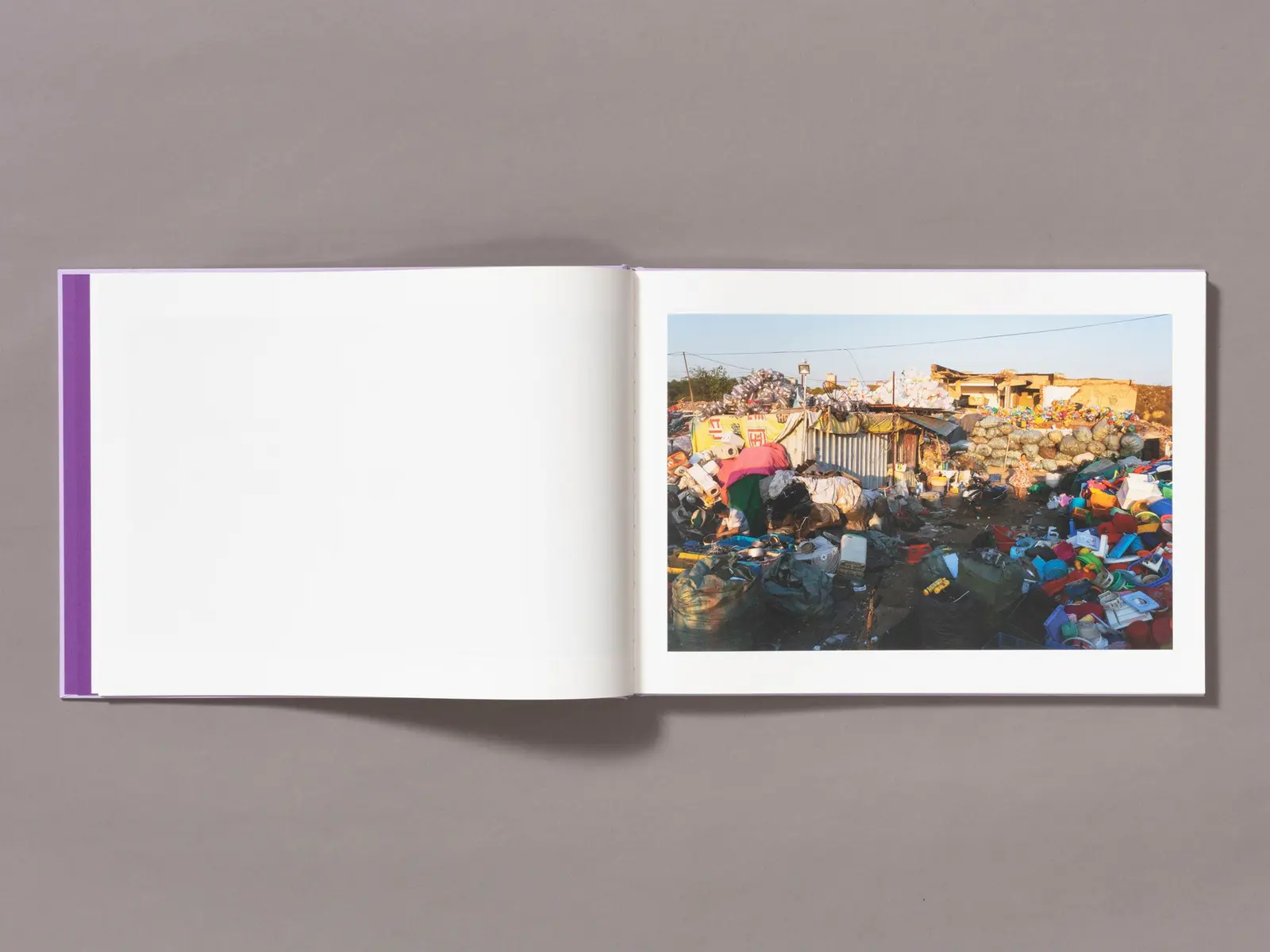 Mother's Land image 5