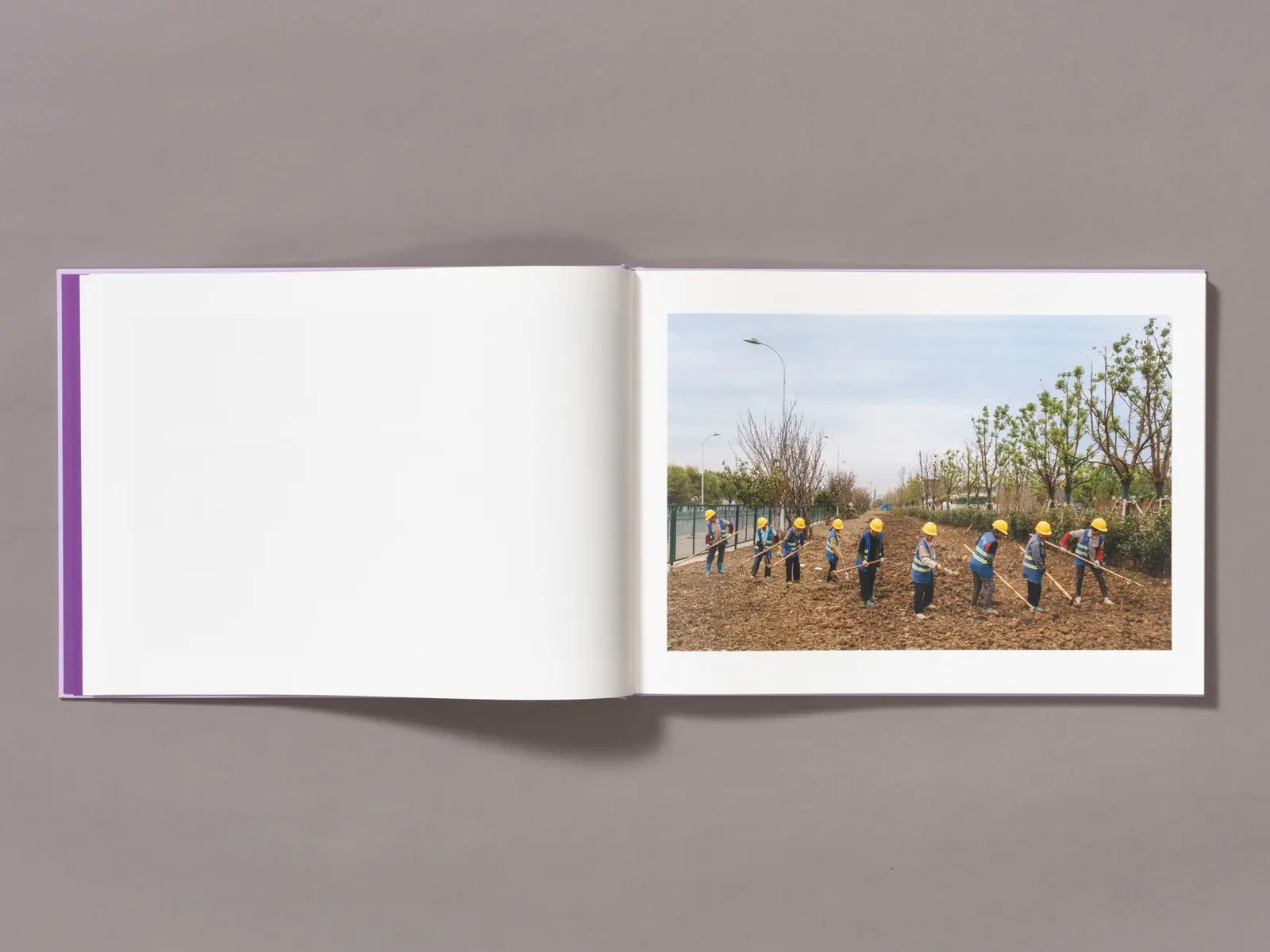 Mother's Land image 6