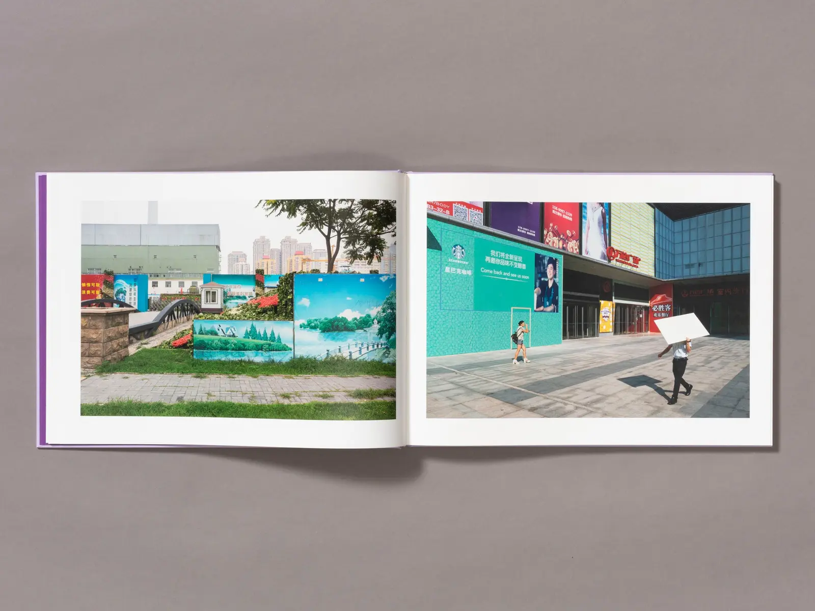 Mother's Land image 7