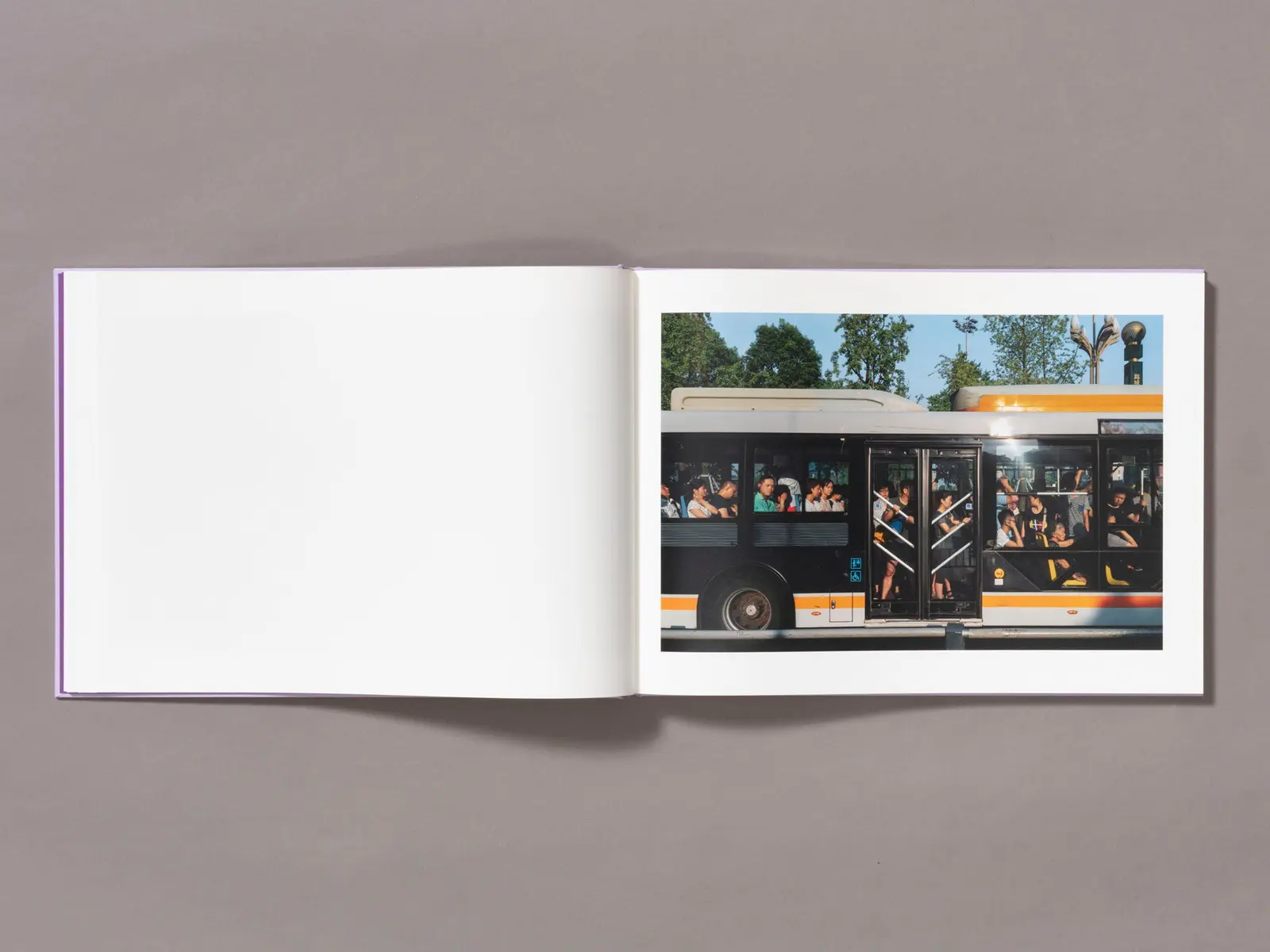 Mother's Land image 8