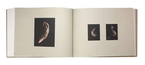 Land of Fusion image 6