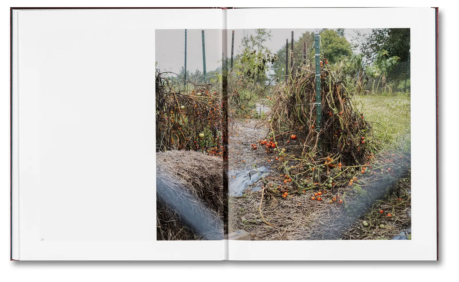 Time To Kill image 9