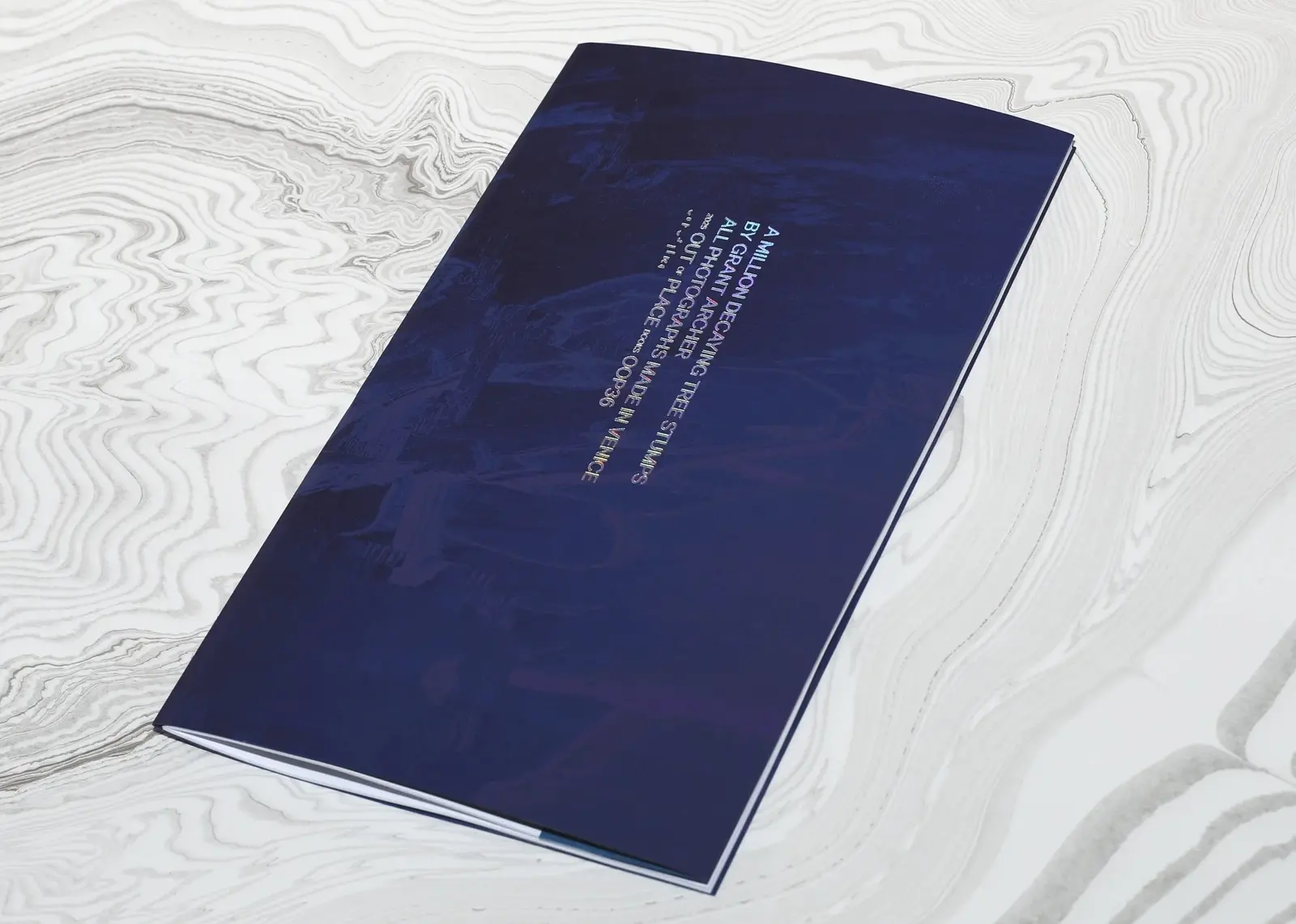 A Million Decaying Tree Stumps image 2