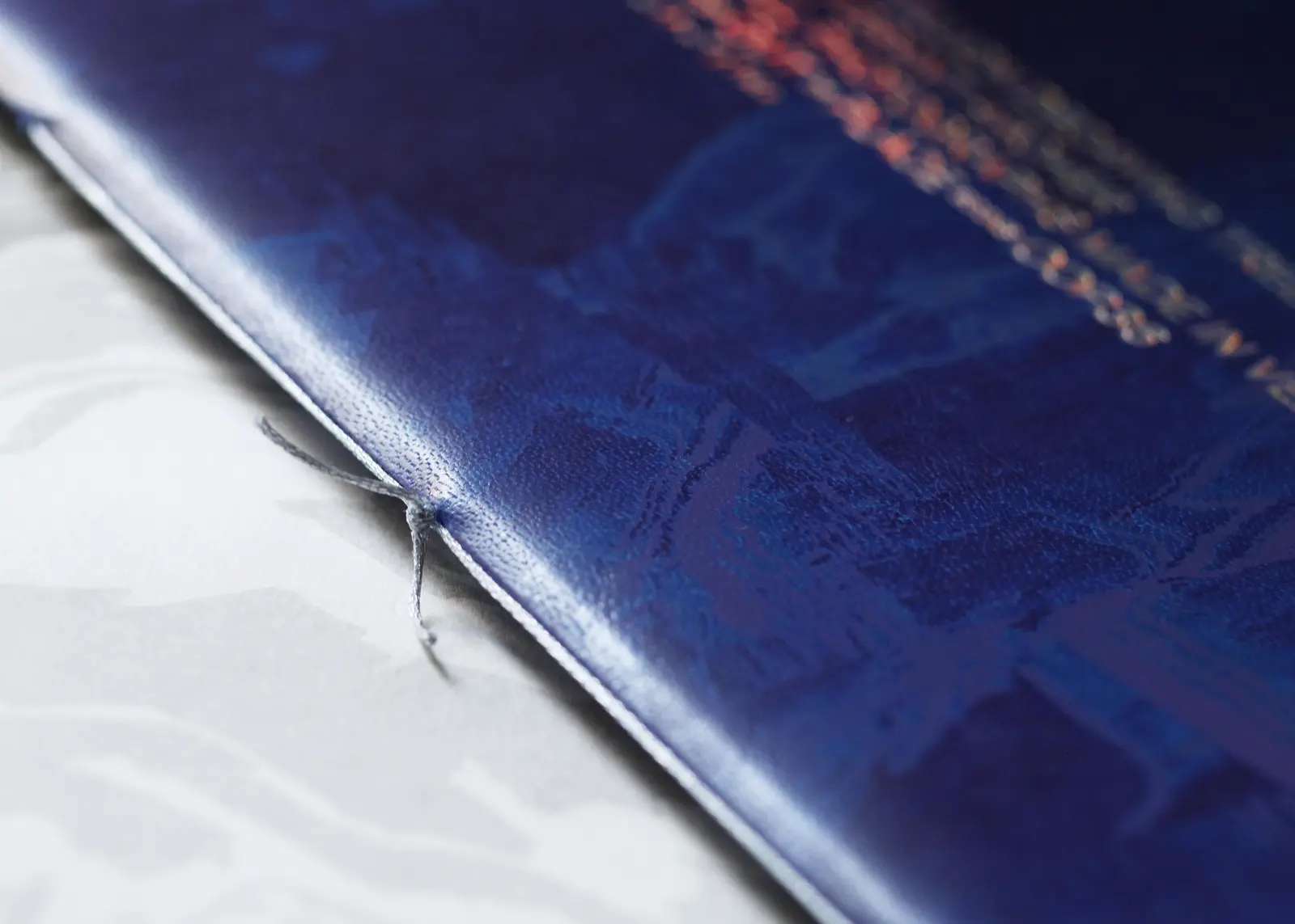 A Million Decaying Tree Stumps image 3