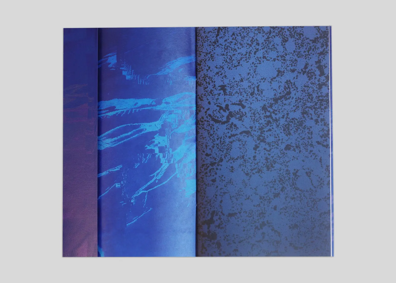 A Million Decaying Tree Stumps image 4