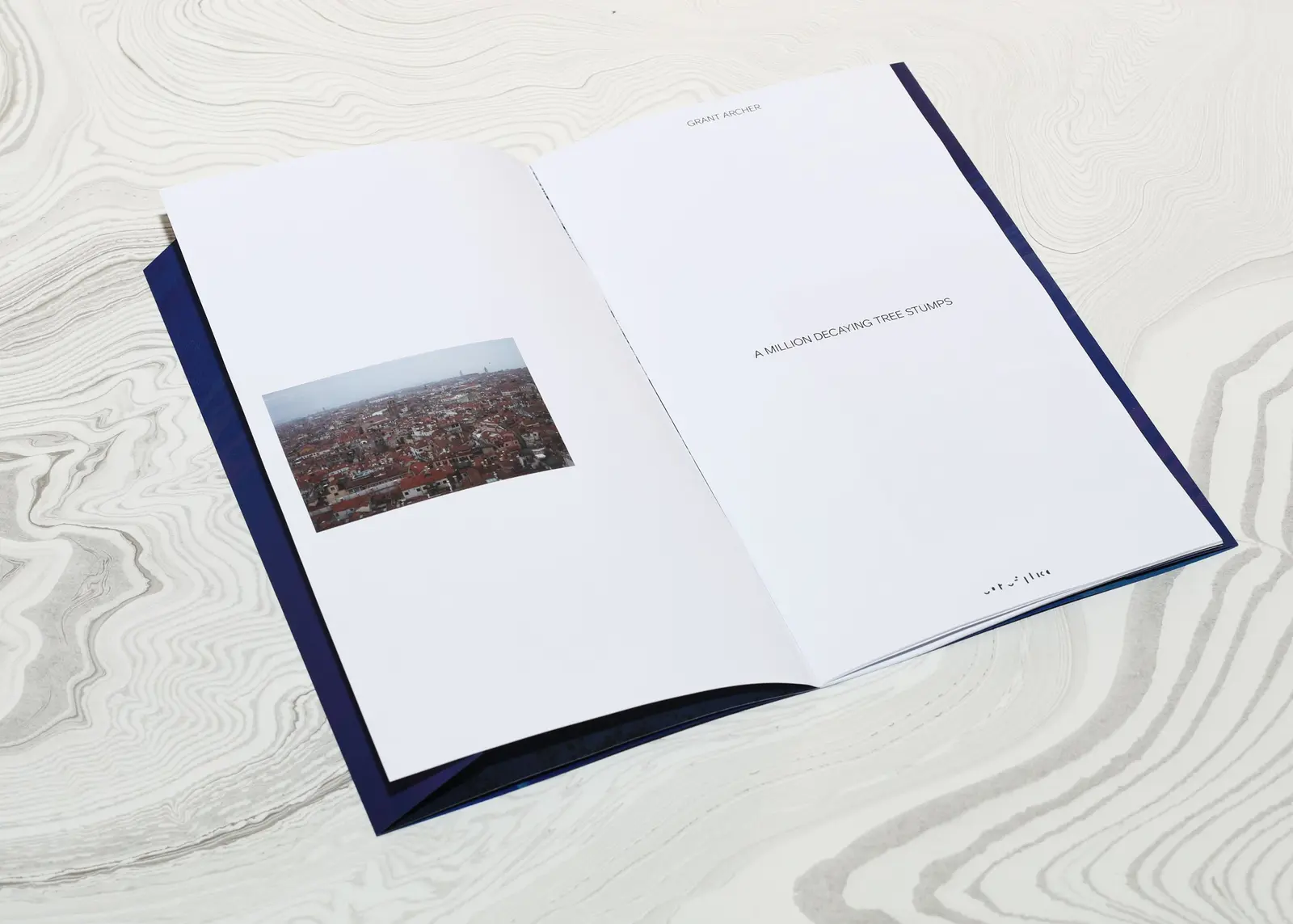 A Million Decaying Tree Stumps image 6