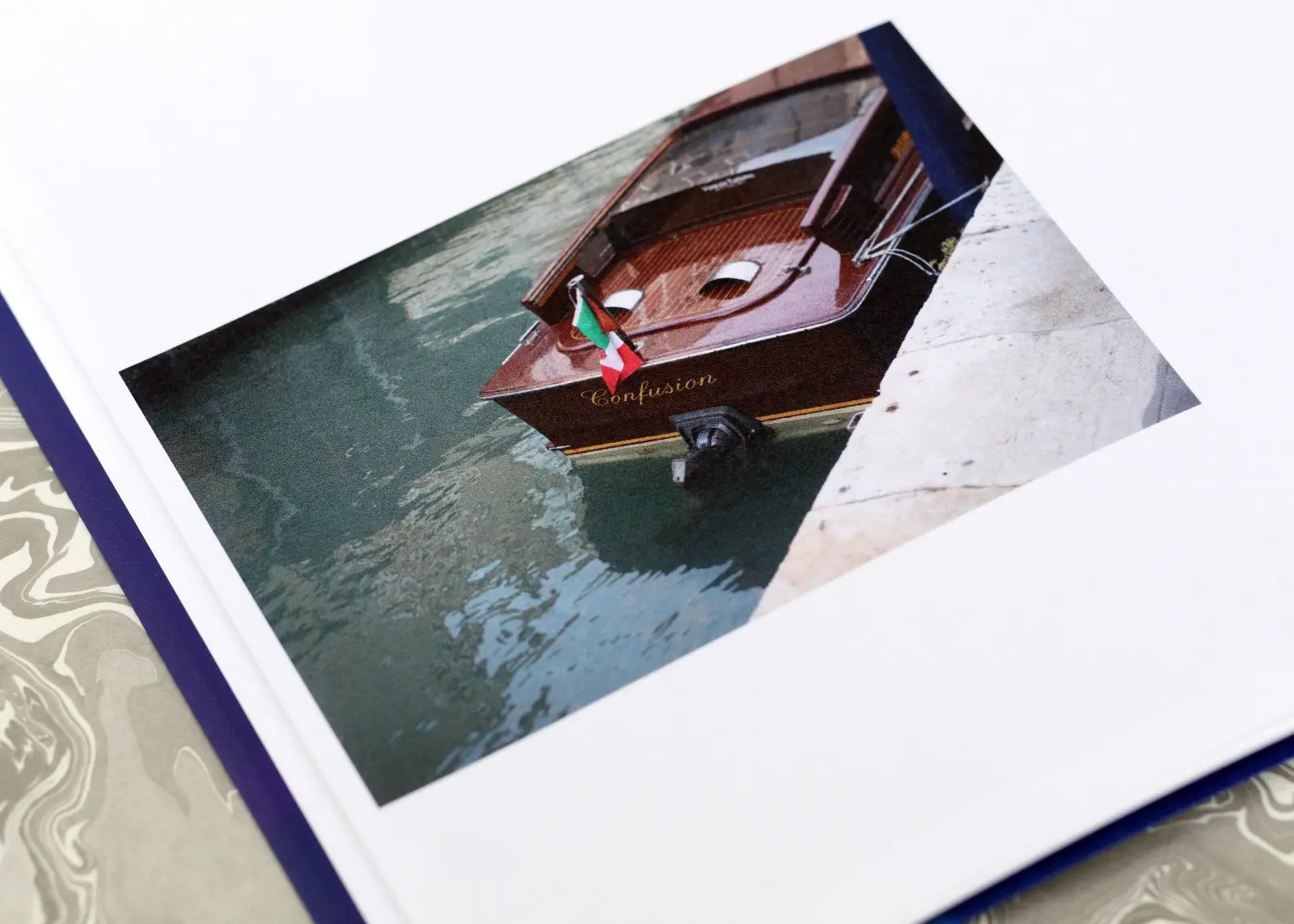 A Million Decaying Tree Stumps image 8