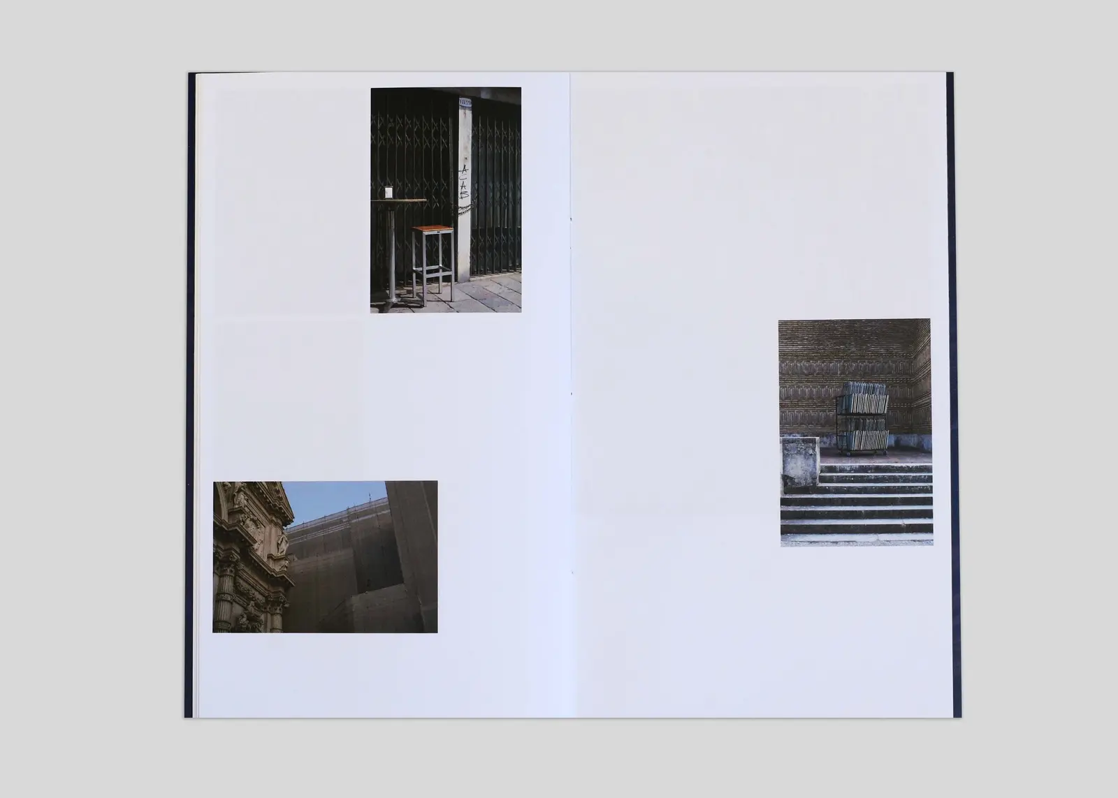 A Million Decaying Tree Stumps image 9