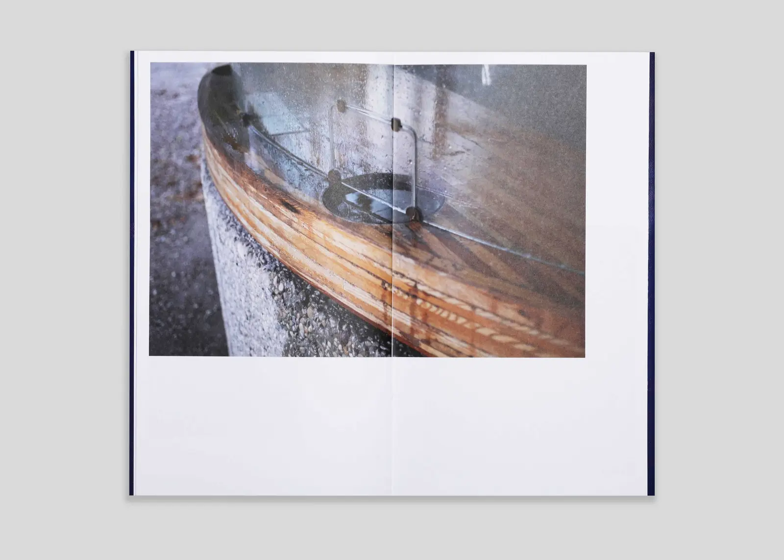 A Million Decaying Tree Stumps image 10