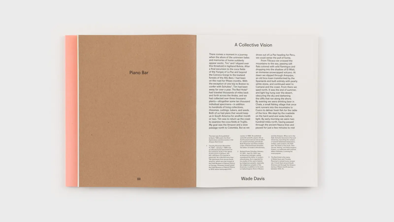 Baby Comet Face image 10