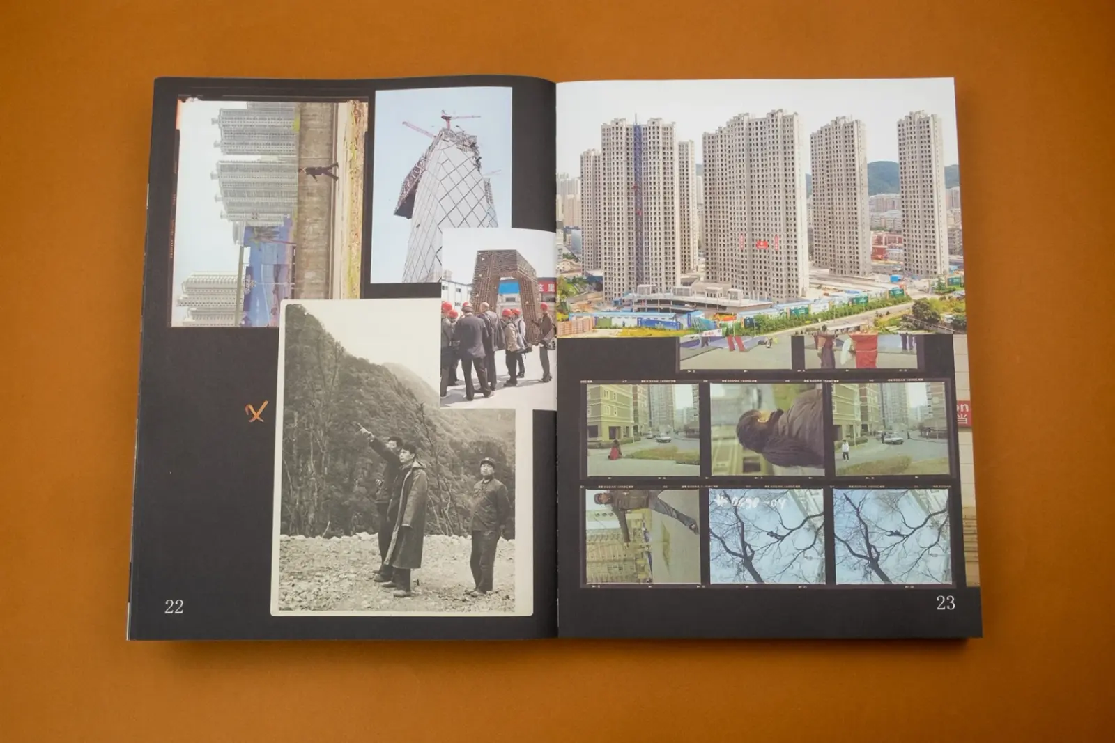 Flowers in the Mirror – A Reader image 2