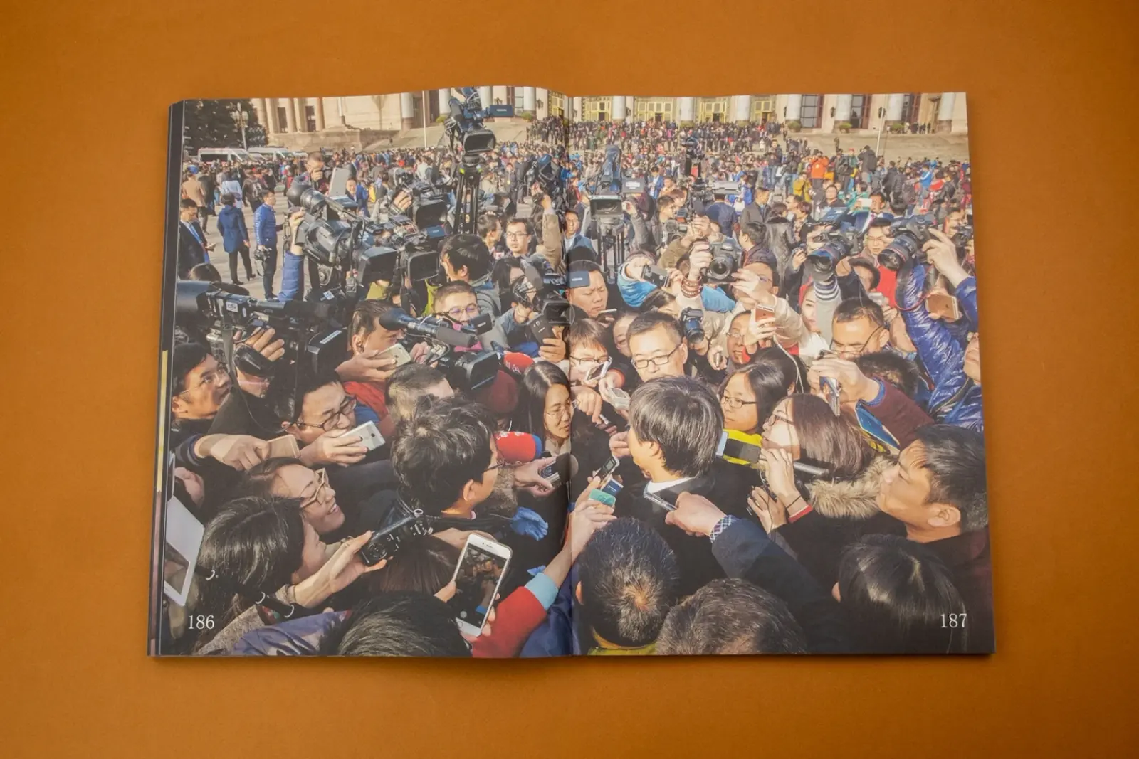 Flowers in the Mirror – A Reader image 3