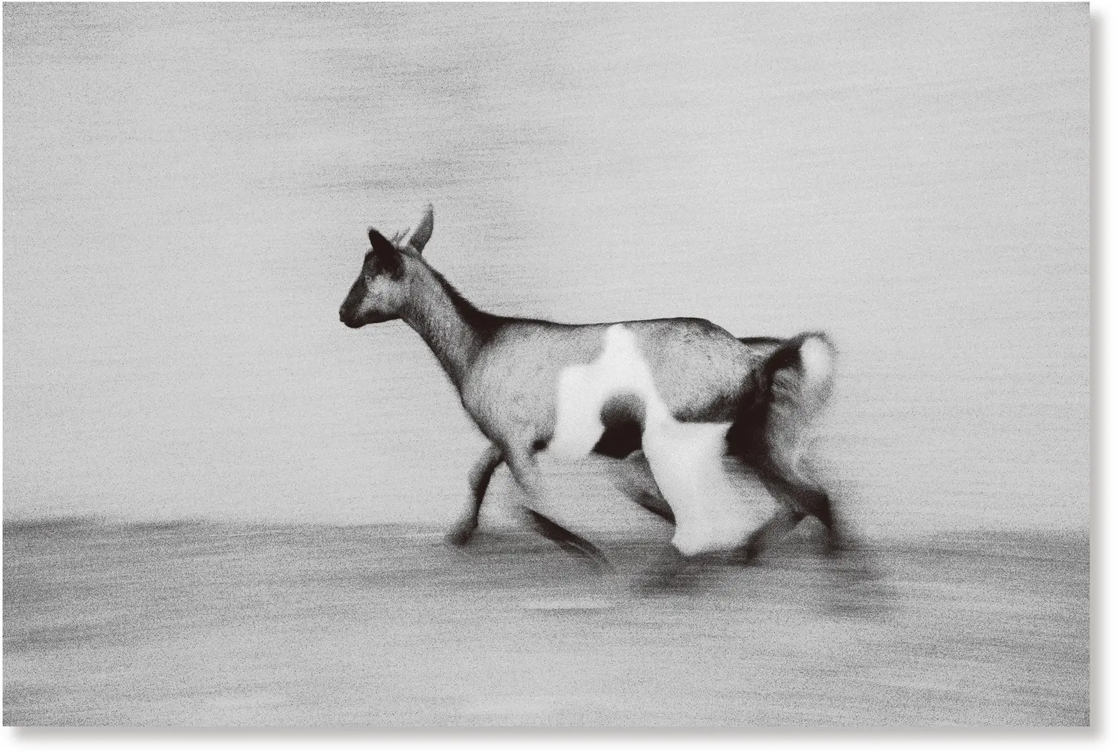 Upmost for the Highest image 7