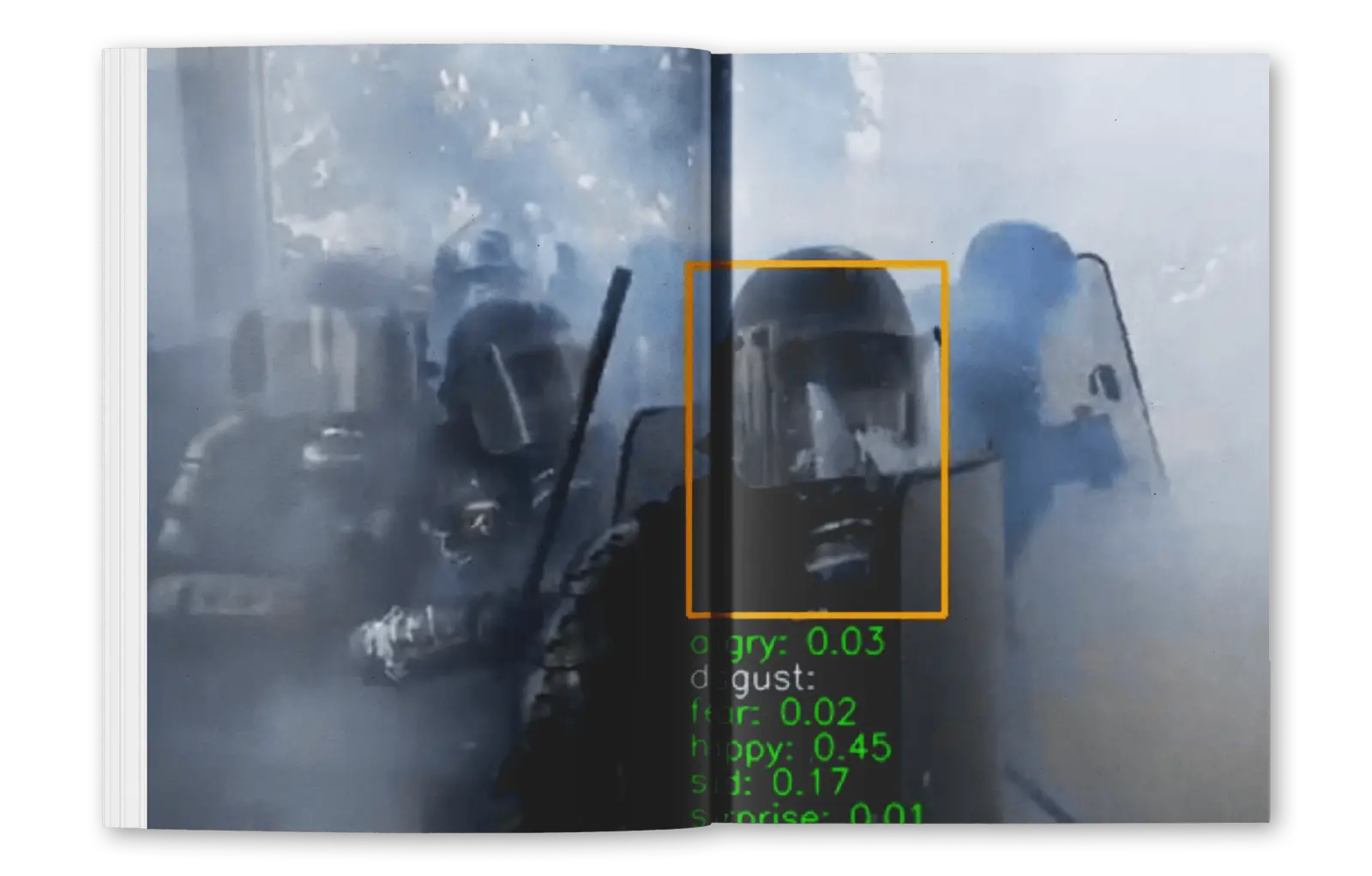 Reversed Surveillance image 2