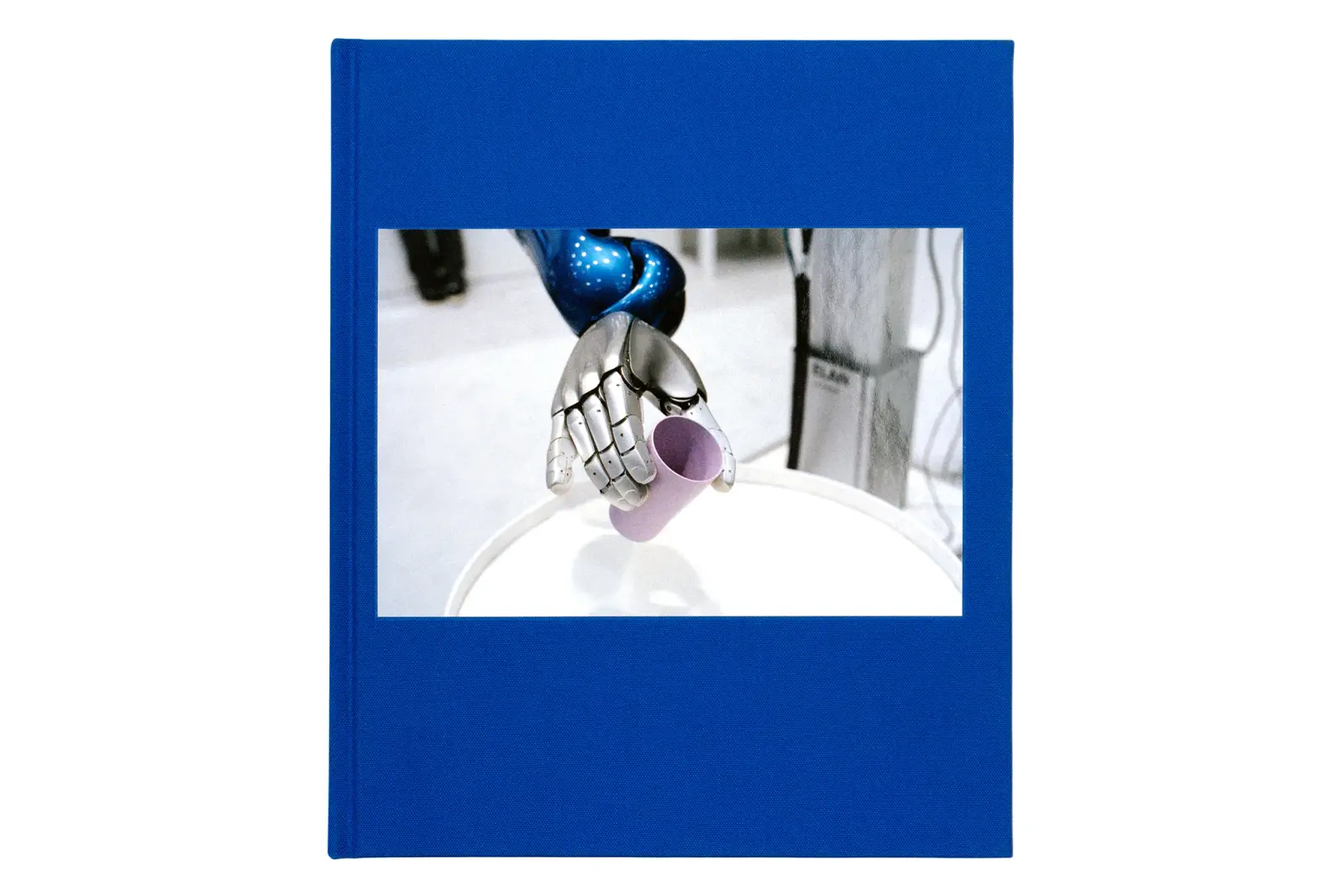 The Unposed (EoAT) image 2