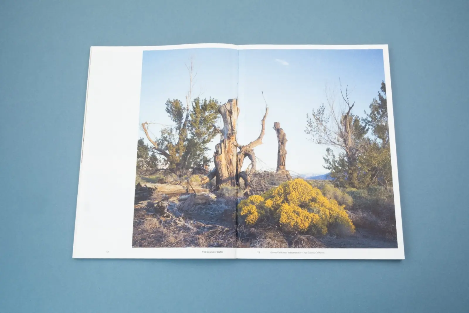 The Course of Water – Fieldnotes from California's Owens Valley image 4