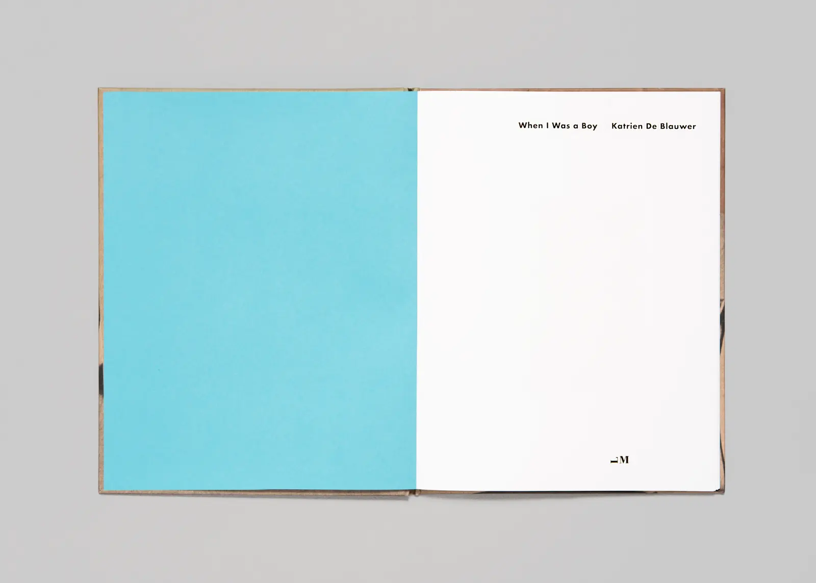 When I Was a Boy image 4