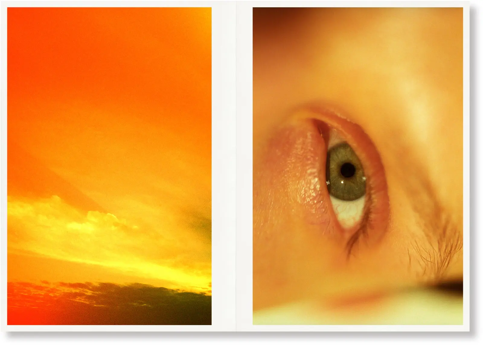 Eyes and Skies image 3