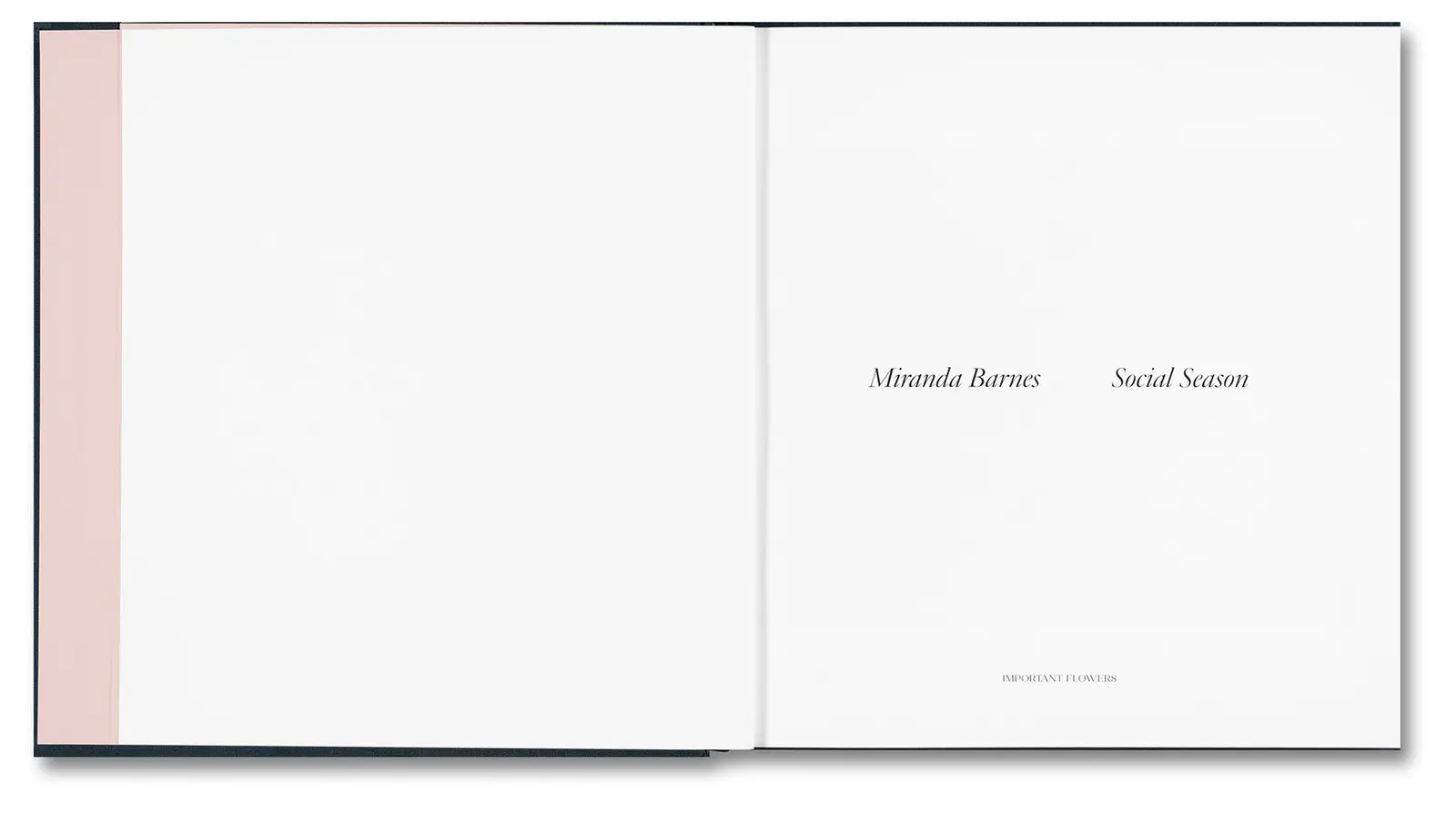 Social Season image 4