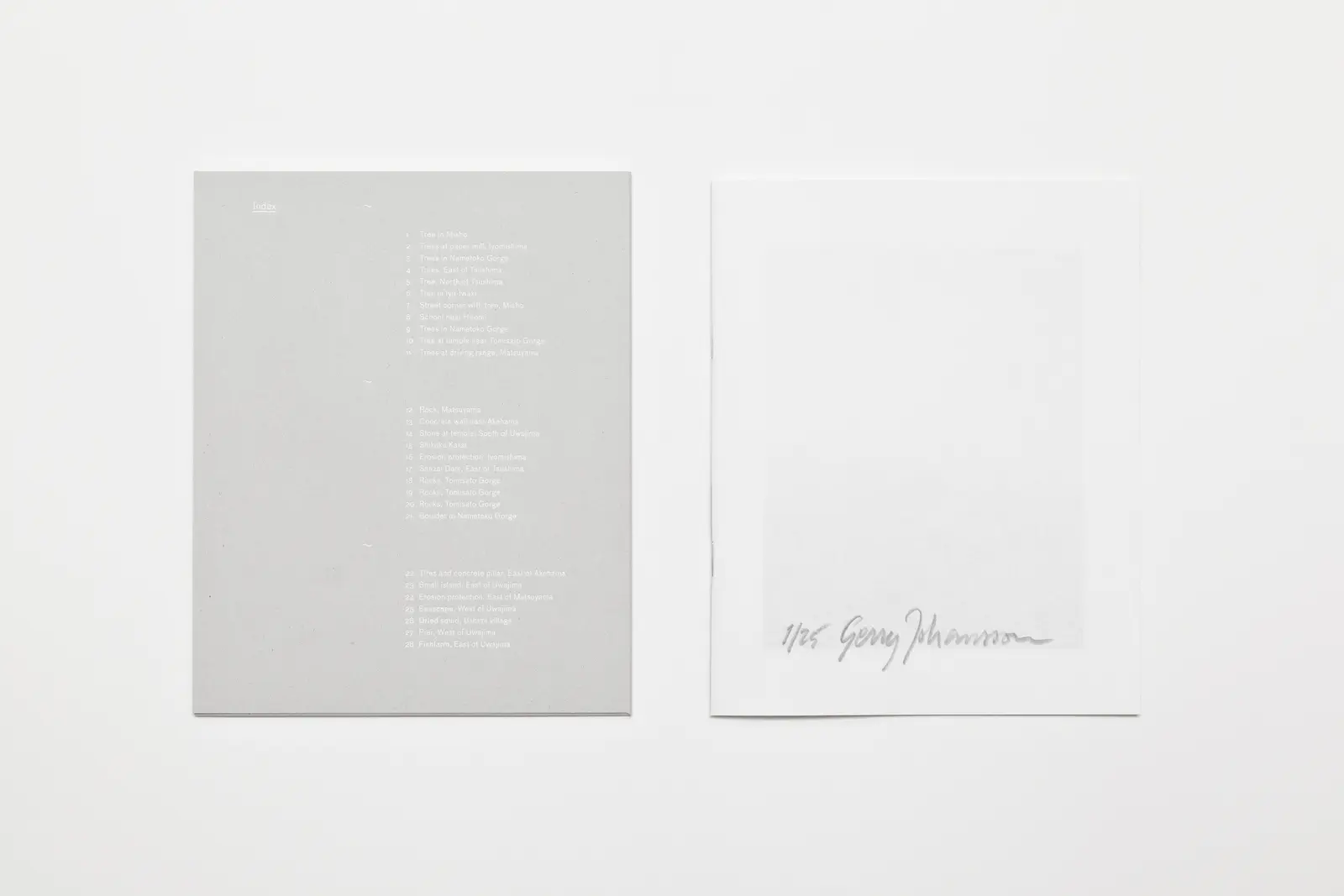 Tree Stone Water image 3