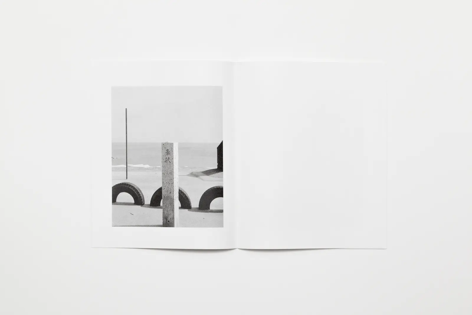 Tree Stone Water image 11